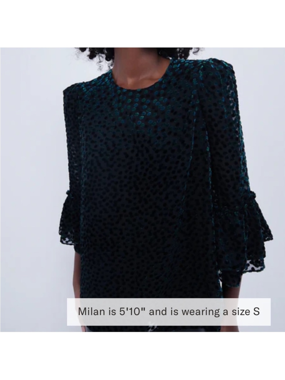 Tuckernuck Flock Dot Velvet Luciela Green and Black Blouse